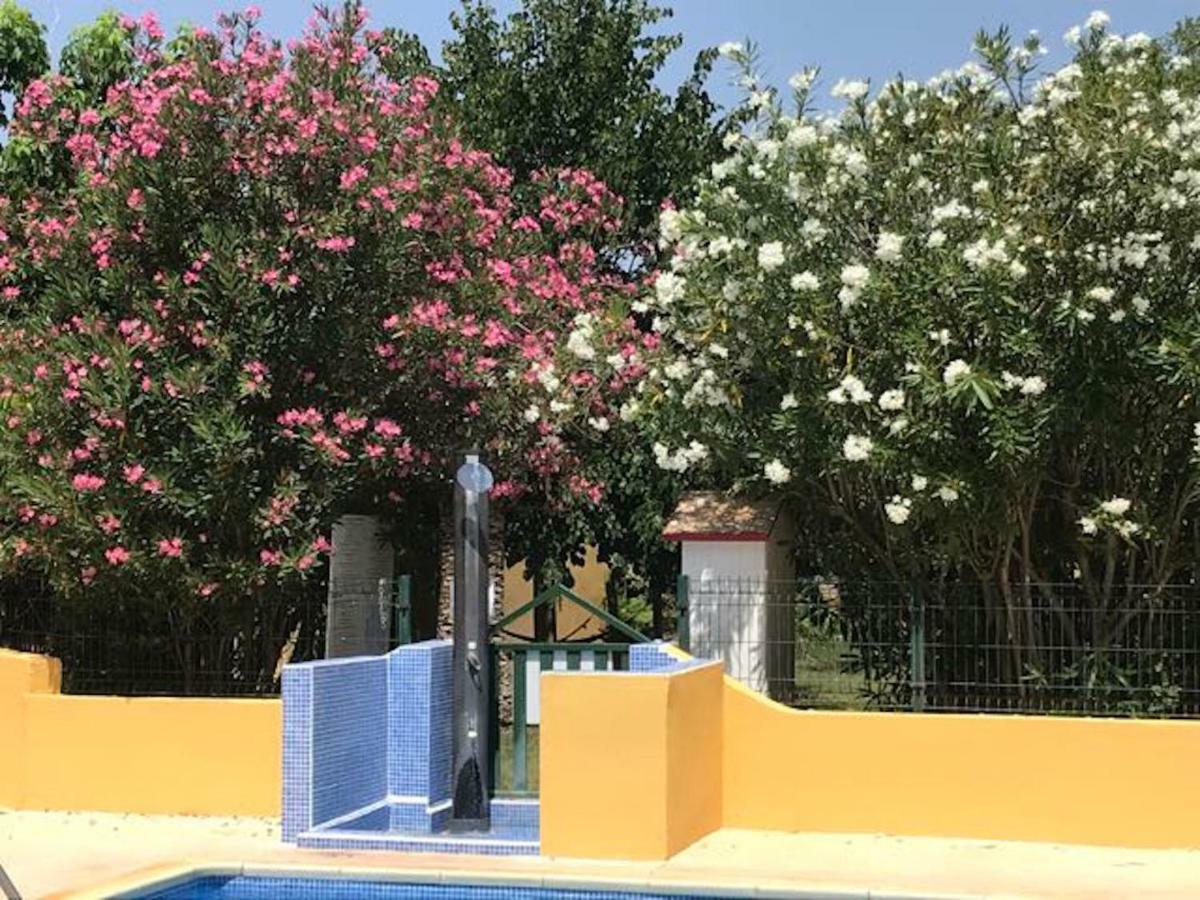 Sérignan Residence Les Caraibes المظهر الخارجي الصورة